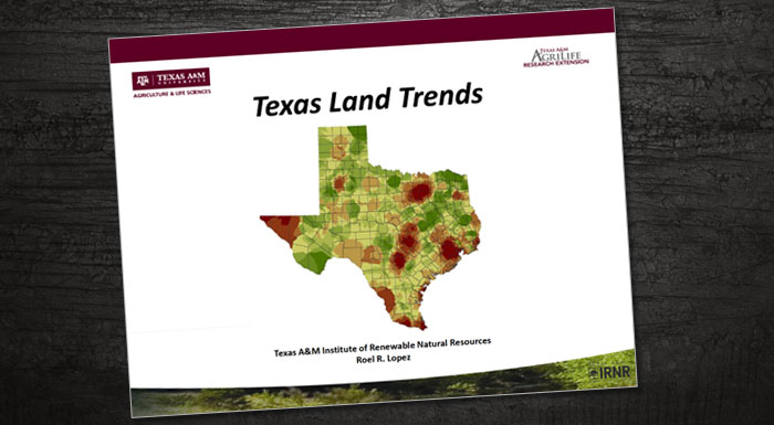 Texas Land Trends